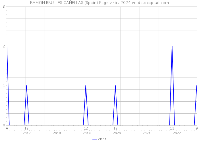 RAMON BRULLES CAÑELLAS (Spain) Page visits 2024 