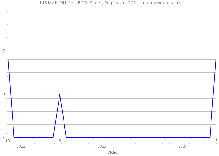 LUIS MANJON GALLEGO (Spain) Page visits 2024 