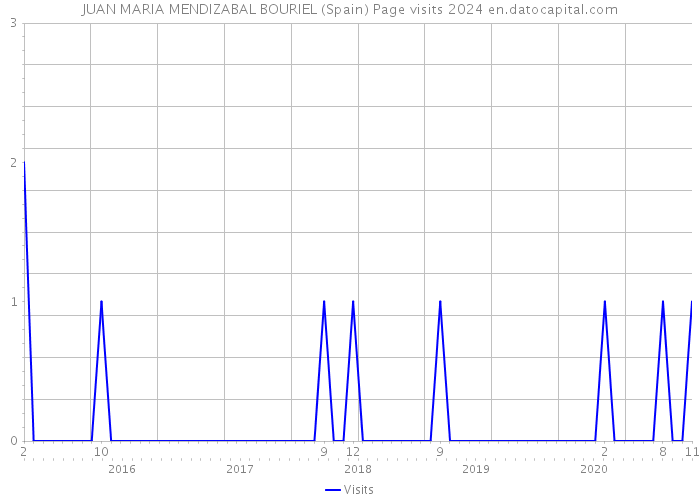 JUAN MARIA MENDIZABAL BOURIEL (Spain) Page visits 2024 