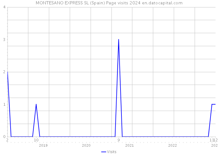 MONTESANO EXPRESS SL (Spain) Page visits 2024 