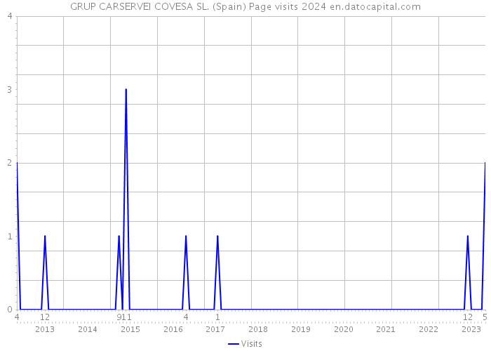 GRUP CARSERVEI COVESA SL. (Spain) Page visits 2024 