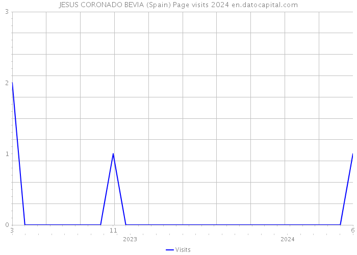 JESUS CORONADO BEVIA (Spain) Page visits 2024 