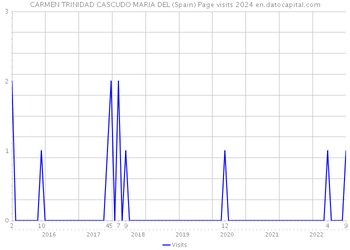 CARMEN TRINIDAD CASCUDO MARIA DEL (Spain) Page visits 2024 