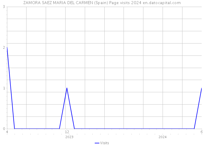 ZAMORA SAEZ MARIA DEL CARMEN (Spain) Page visits 2024 