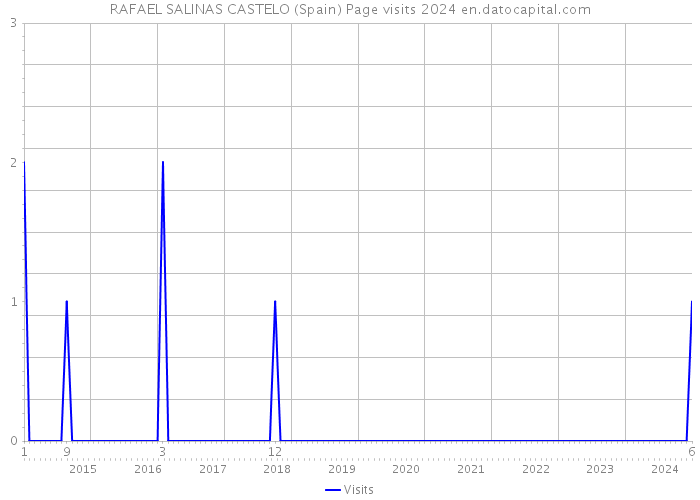 RAFAEL SALINAS CASTELO (Spain) Page visits 2024 