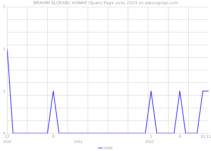 IBRAHIM ELGRABLI ANWAR (Spain) Page visits 2024 