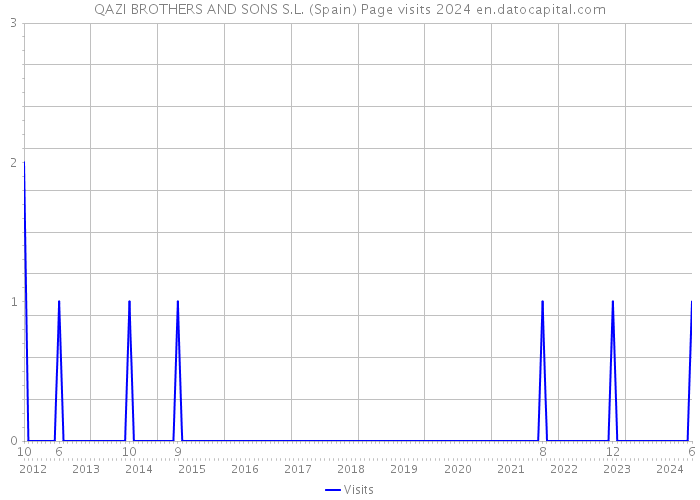 QAZI BROTHERS AND SONS S.L. (Spain) Page visits 2024 