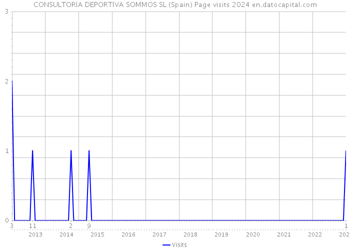 CONSULTORIA DEPORTIVA SOMMOS SL (Spain) Page visits 2024 