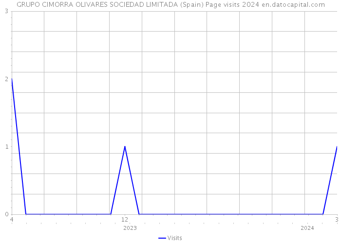 GRUPO CIMORRA OLIVARES SOCIEDAD LIMITADA (Spain) Page visits 2024 