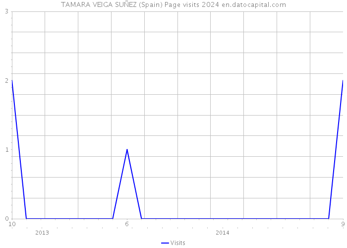 TAMARA VEIGA SUÑEZ (Spain) Page visits 2024 