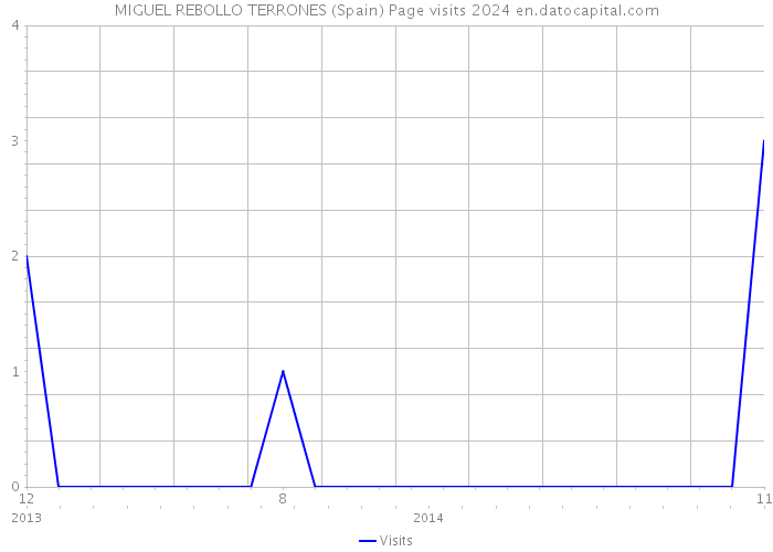 MIGUEL REBOLLO TERRONES (Spain) Page visits 2024 