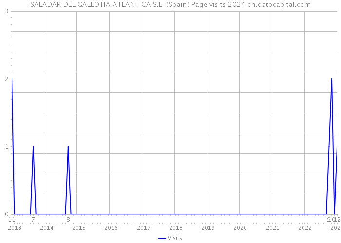 SALADAR DEL GALLOTIA ATLANTICA S.L. (Spain) Page visits 2024 
