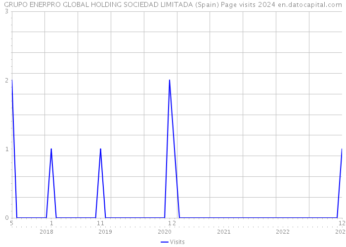 GRUPO ENERPRO GLOBAL HOLDING SOCIEDAD LIMITADA (Spain) Page visits 2024 