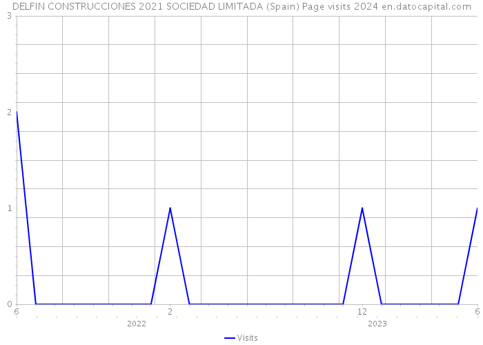 DELFIN CONSTRUCCIONES 2021 SOCIEDAD LIMITADA (Spain) Page visits 2024 