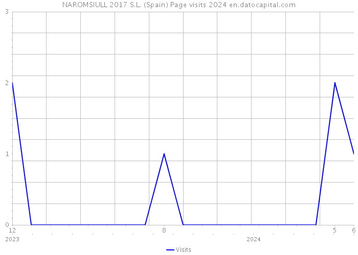 NAROMSIULL 2017 S.L. (Spain) Page visits 2024 