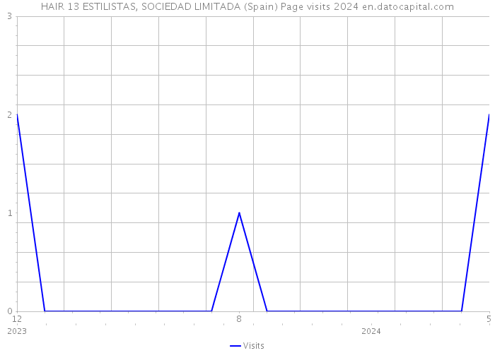 HAIR 13 ESTILISTAS, SOCIEDAD LIMITADA (Spain) Page visits 2024 