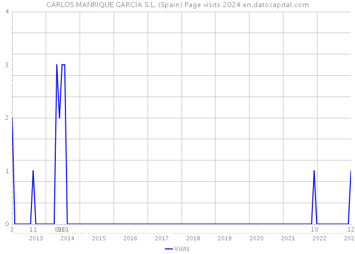 CARLOS MANRIQUE GARCIA S.L. (Spain) Page visits 2024 