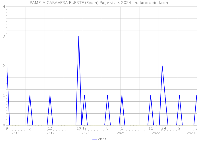 PAMELA CARAVERA FUERTE (Spain) Page visits 2024 