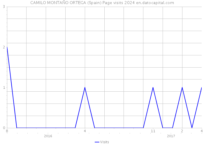 CAMILO MONTAÑO ORTEGA (Spain) Page visits 2024 