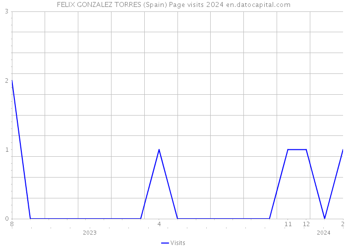 FELIX GONZALEZ TORRES (Spain) Page visits 2024 