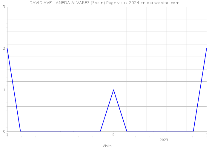 DAVID AVELLANEDA ALVAREZ (Spain) Page visits 2024 