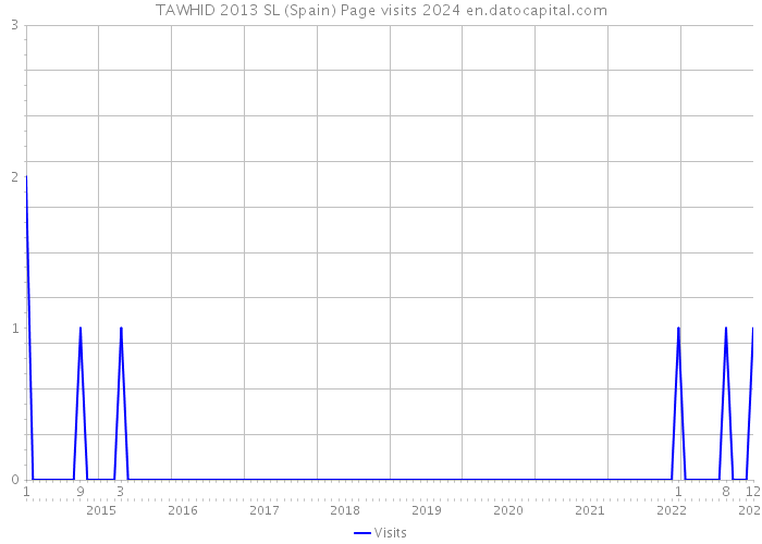 TAWHID 2013 SL (Spain) Page visits 2024 