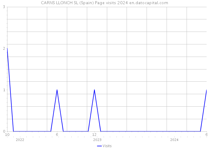 CARNS LLONCH SL (Spain) Page visits 2024 