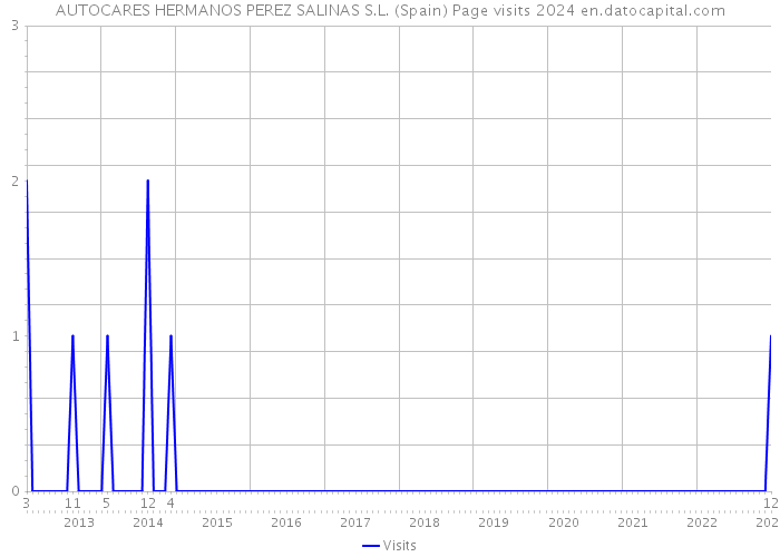 AUTOCARES HERMANOS PEREZ SALINAS S.L. (Spain) Page visits 2024 