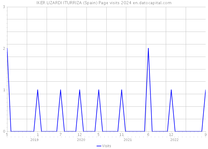 IKER LIZARDI ITURRIZA (Spain) Page visits 2024 