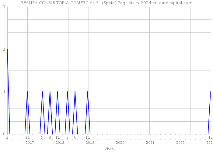 REALIZA CONSULTORIA COMERCIAL SL (Spain) Page visits 2024 