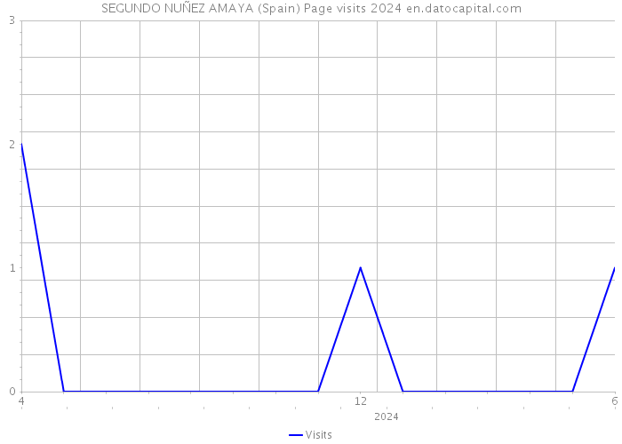 SEGUNDO NUÑEZ AMAYA (Spain) Page visits 2024 