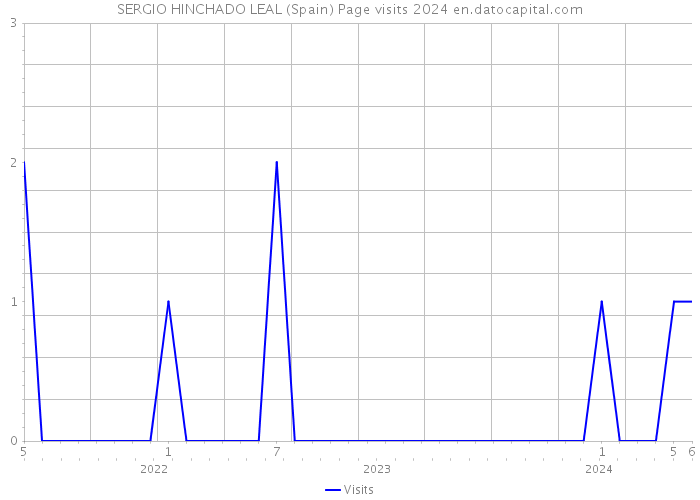 SERGIO HINCHADO LEAL (Spain) Page visits 2024 