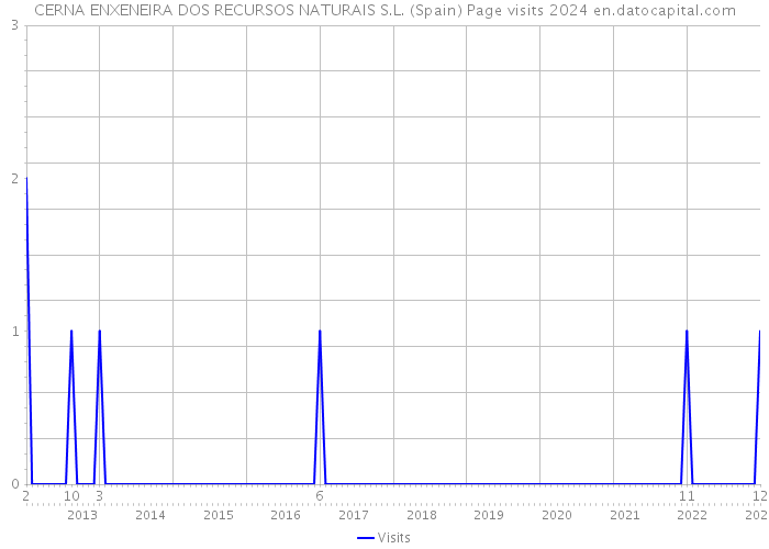 CERNA ENXENEIRA DOS RECURSOS NATURAIS S.L. (Spain) Page visits 2024 