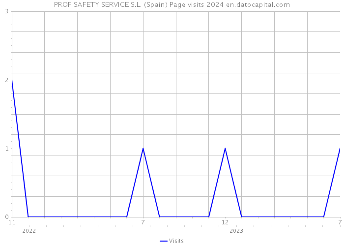 PROF SAFETY SERVICE S.L. (Spain) Page visits 2024 