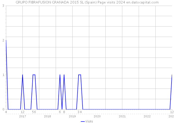 GRUPO FIBRAFUSION GRANADA 2015 SL (Spain) Page visits 2024 