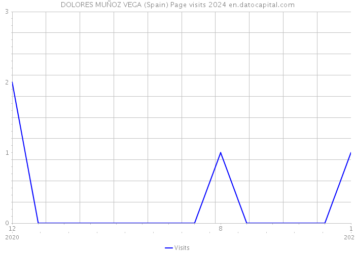 DOLORES MUÑOZ VEGA (Spain) Page visits 2024 