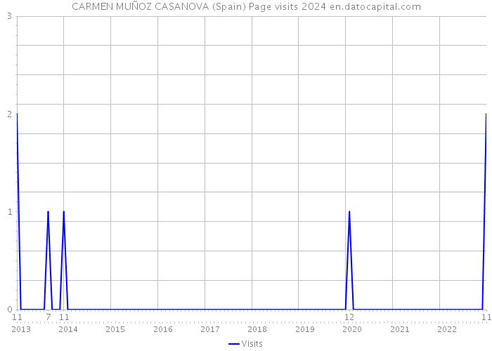 CARMEN MUÑOZ CASANOVA (Spain) Page visits 2024 