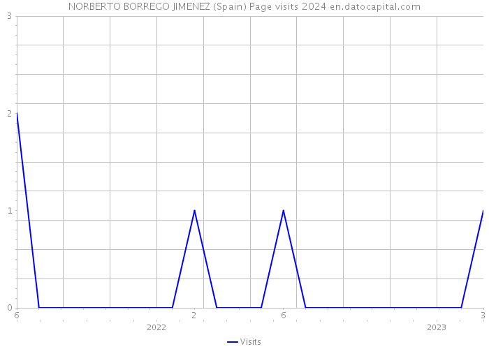 NORBERTO BORREGO JIMENEZ (Spain) Page visits 2024 