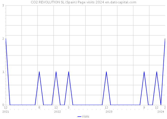 CO2 REVOLUTION SL (Spain) Page visits 2024 