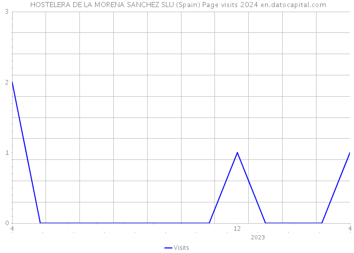  HOSTELERA DE LA MORENA SANCHEZ SLU (Spain) Page visits 2024 