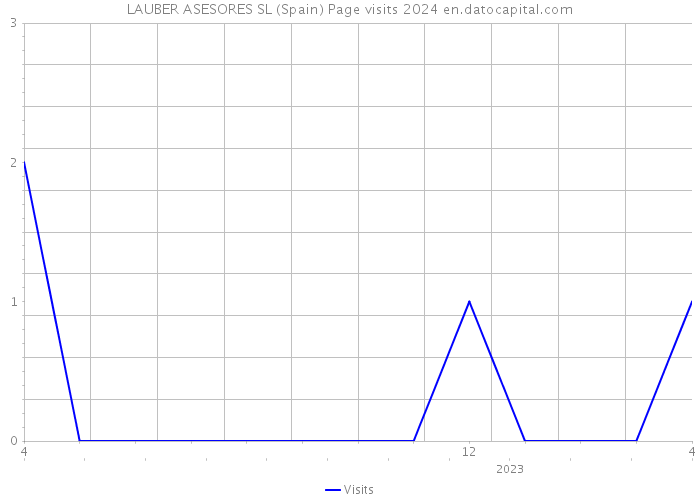 LAUBER ASESORES SL (Spain) Page visits 2024 