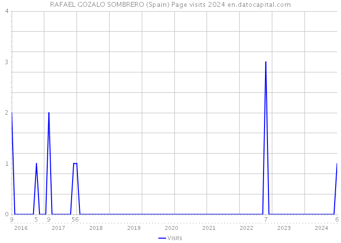 RAFAEL GOZALO SOMBRERO (Spain) Page visits 2024 