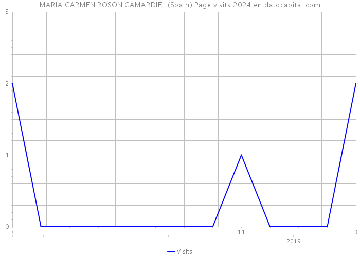 MARIA CARMEN ROSON CAMARDIEL (Spain) Page visits 2024 