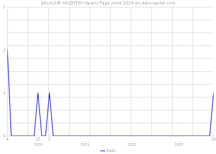 SALAGUB VALENTIN (Spain) Page visits 2024 