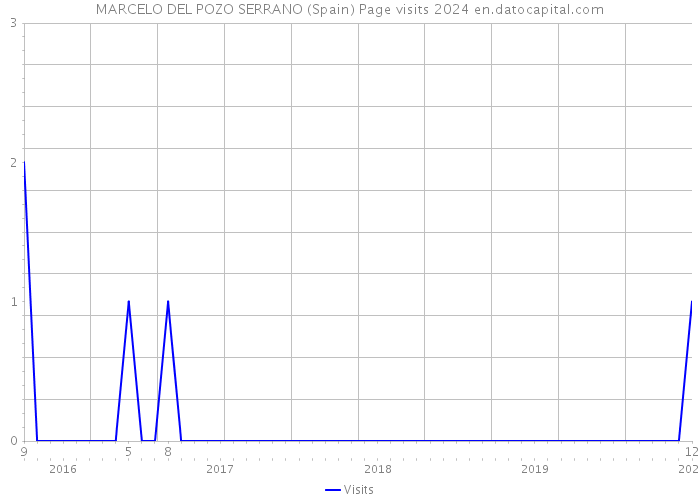 MARCELO DEL POZO SERRANO (Spain) Page visits 2024 