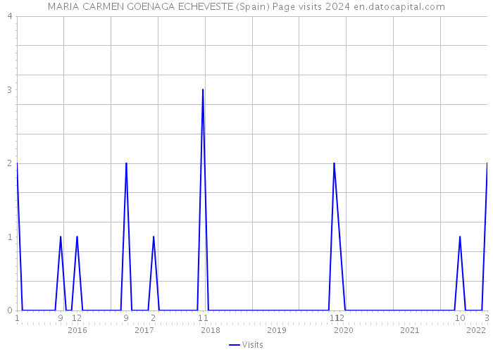 MARIA CARMEN GOENAGA ECHEVESTE (Spain) Page visits 2024 