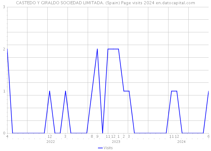 CASTEDO Y GIRALDO SOCIEDAD LIMITADA. (Spain) Page visits 2024 