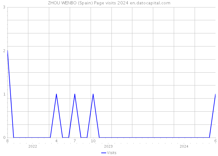 ZHOU WENBO (Spain) Page visits 2024 