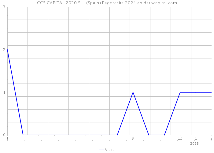 CCS CAPITAL 2020 S.L. (Spain) Page visits 2024 