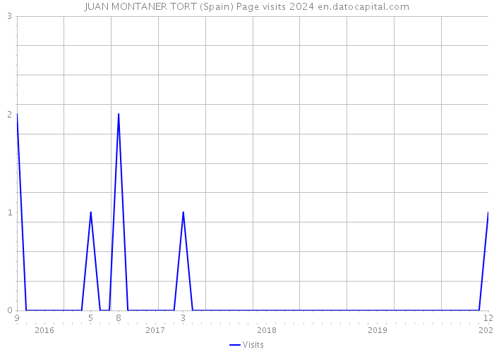 JUAN MONTANER TORT (Spain) Page visits 2024 